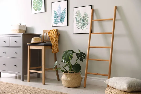 Stijlvol Interieur Met Decoratieve Ladder Monsterplant — Stockfoto