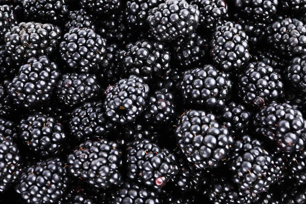 Lekkere Rijpe Bramen Als Achtergrond Bovenaanzicht — Stockfoto