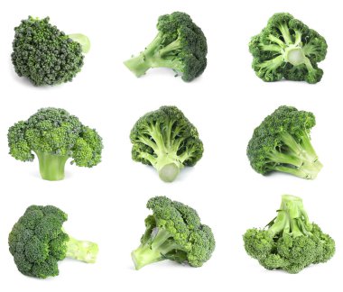 Beyaz arka planda taze yeşil brokoli seti