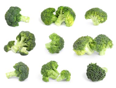 Beyaz arka planda taze yeşil brokoli seti