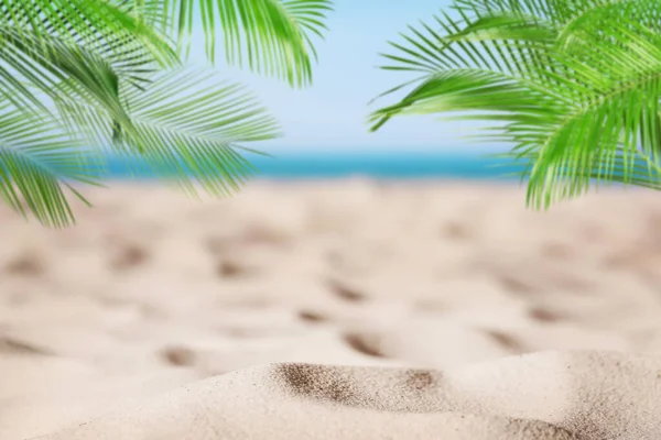 Playa Arena Con Palmeras Cerca Del Océano Día Soleado — Foto de Stock