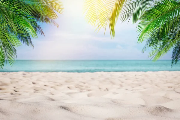 Playa Arena Con Palmeras Cerca Del Océano Día Soleado — Foto de Stock