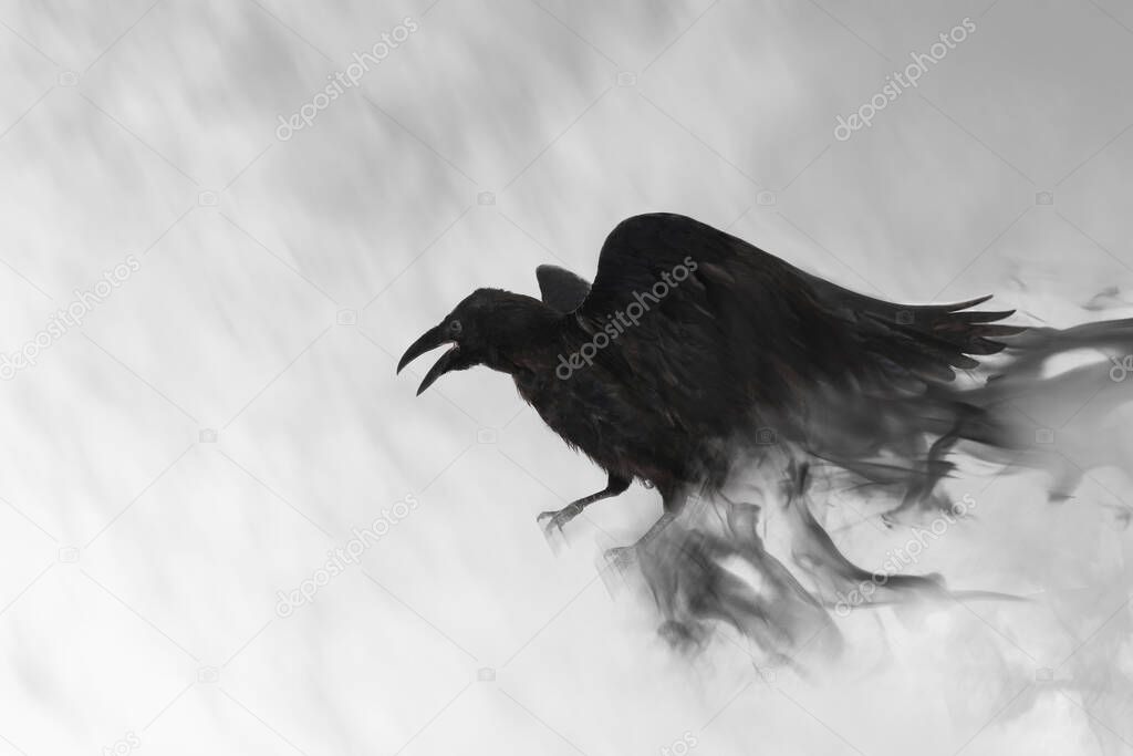 Black raven flying through mist, fantasy image