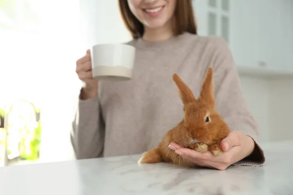 Молодая Женщина Чашкой Кофе Очаровательным Кроликом Столом Помещении Крупным Планом — стоковое фото