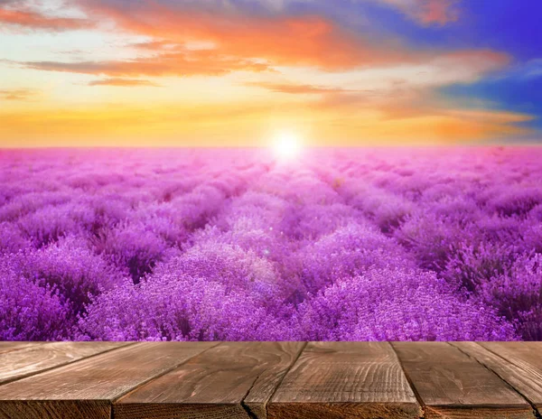 Lege Houten Ondergrond Lavendelveld Bij Zonsondergang — Stockfoto