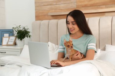 Chihuahua ve dizüstü bilgisayarı olan genç bir kadın. Merkez ofis kavramı