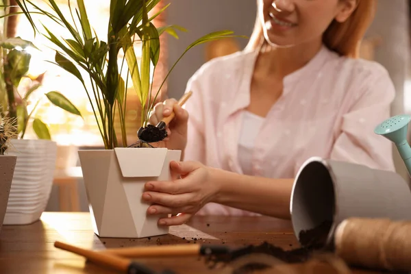 Mujer Joven Planta Encapsulamiento Casa Primer Plano Interesante Hobby — Foto de Stock