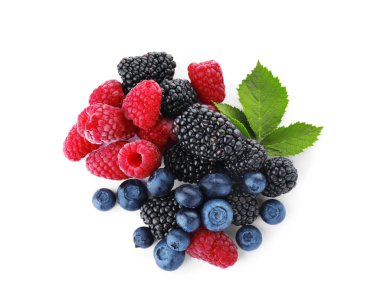 Farklı taze böğürtlenlerin karışımı beyaz, üst manzara