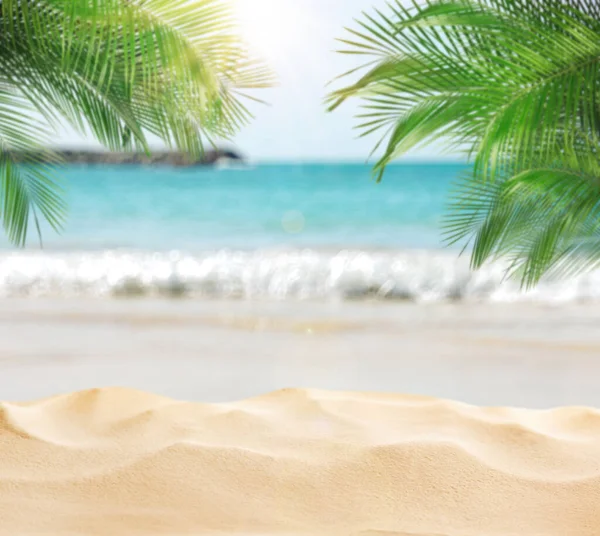 Playa Arena Con Palmeras Cerca Del Océano Día Soleado — Foto de Stock