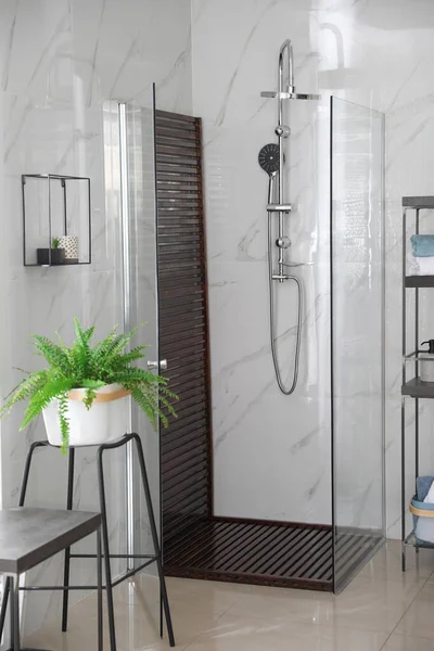 Salle Bain Intérieure Avec Cabine Douche Plante Intérieur Idée Design — Photo