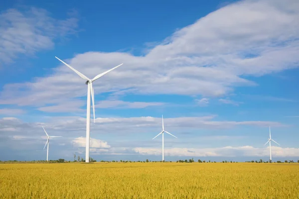 Bella Vista Del Campo Con Turbine Eoliche Fonte Energia Alternativa — Foto Stock