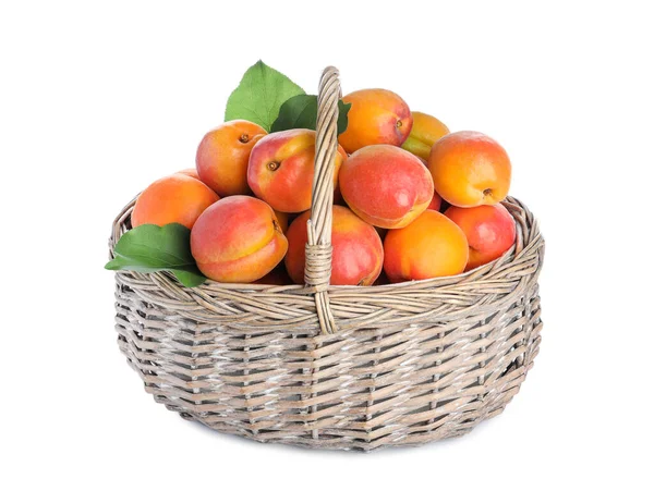 Delicious Ripe Apricots Wicker Basket Isolated White — Stock Photo, Image