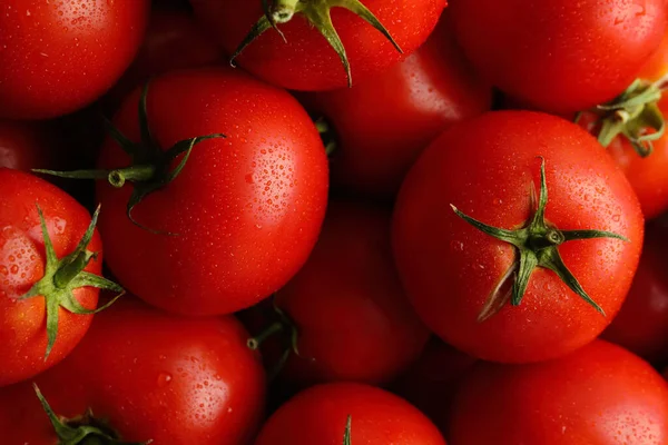 Φρέσκες Ώριμες Κόκκινες Ντομάτες Φόντο Κοντινό Πλάνο — Φωτογραφία Αρχείου