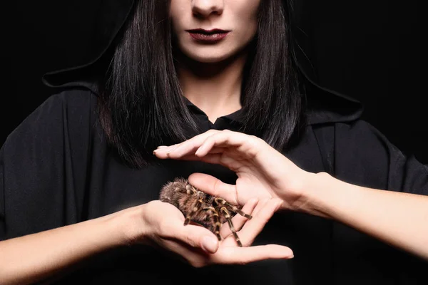 Mystérieuse Sorcière Avec Une Araignée Effrayante Sur Fond Noir Gros — Photo