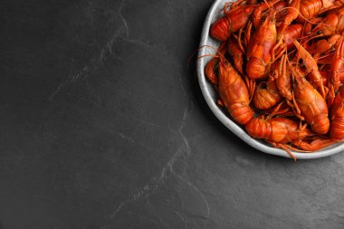 Siyah masada nefis kaynamış kerevitler, üst manzara. Metin için boşluk