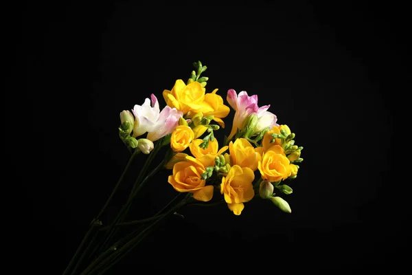 Ramillete Hermosas Flores Freesia Sobre Fondo Negro —  Fotos de Stock