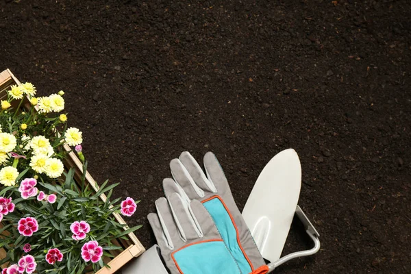 Επίπεδη Σύνθεση Εργαλεία Κηπουρικής Και Λουλούδια Στο Έδαφος Χώρος Για — Φωτογραφία Αρχείου