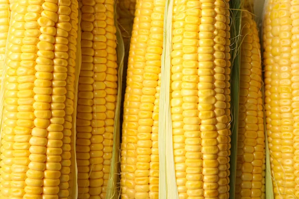 Tasty Sweet Corn Cobs Background Top View — Stock Photo, Image