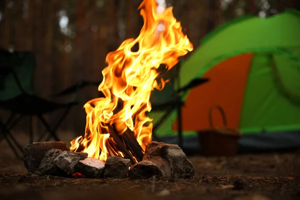 Piękne Ognisko Płonącym Drewnem Pobliżu Namiotu Kempingowego Lesie — Zdjęcie stockowe