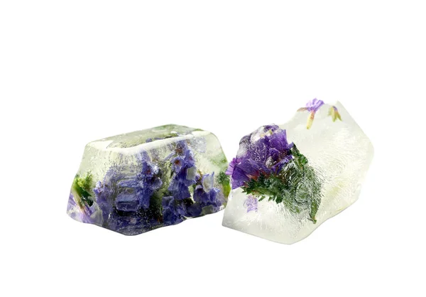 Ice Cubes Flowers White Background — Stock Photo, Image
