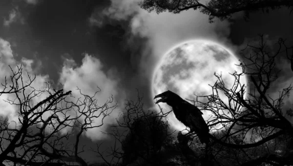 Creepy black crow croaking in scary dark forest on full moon night