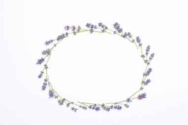 Beyaz arka planda lavanta çiçekleri olan çerçeve düz yatıyordu. Metin için boşluk