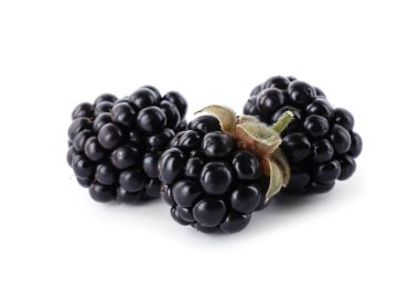 Lezzetli taze böğürtlenler beyaza izole edilmiş