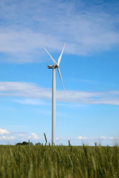 Prachtig Uitzicht Het Veld Met Windturbine Alternatieve Energiebron — Stockfoto