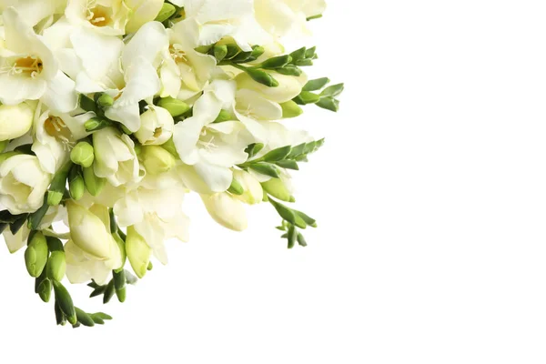 Indah Bunga Freesia Aromatik Terisolasi Pada Putih — Stok Foto