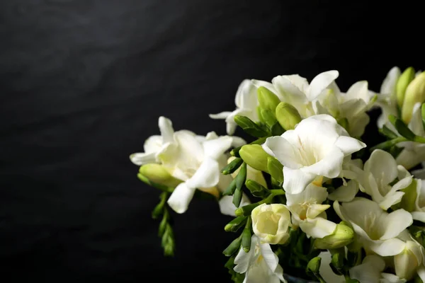 Vackra Freesia Blommor Svart Bakgrund Närbild Plats För Text — Stockfoto