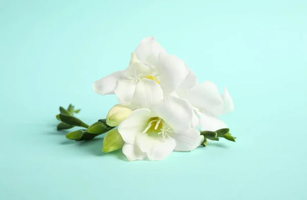 Mooie Freesia Bloemen Lichtblauwe Achtergrond — Stockfoto