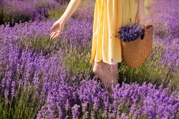 Mujer Joven Con Bolso Mimbre Lleno Flores Lavanda Campo Primer — Foto de Stock