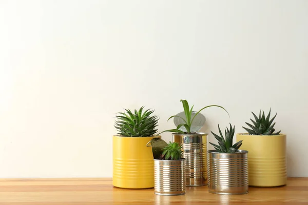 Belles Plantes Intérieur Boîtes Conserve Sur Table Bois Espace Pour — Photo