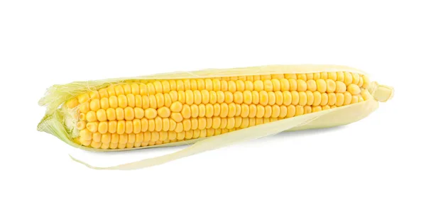 Стиглі Сирі Кукурудзяні Коби Лушпинням Ізольовані Білому — стокове фото