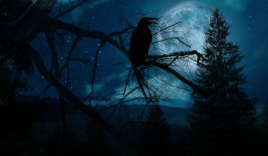 Creepy black crow croaking in scary dark forest on full moon night clipart