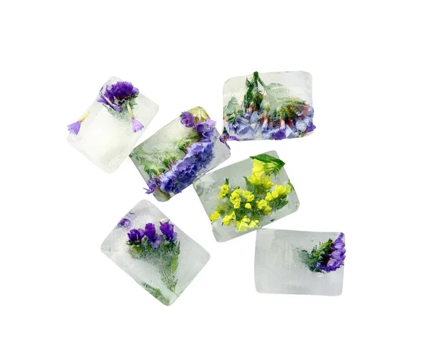 Eiswürfel Mit Blumen Auf Weißem Hintergrund — Stockfoto