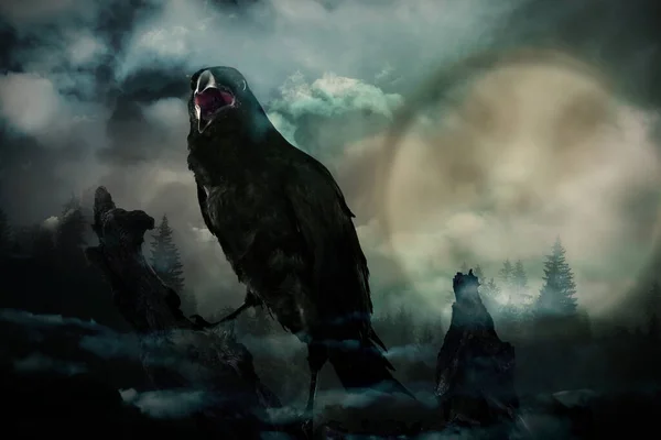 Cuervo Negro Espeluznante Cantando Bosque Oscuro Brumoso Noche Luna Llena —  Fotos de Stock