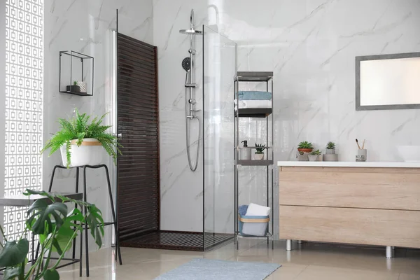 Interior Banheiro Com Chuveiro Balcão Plantas Sala Ideia Para Design — Fotografia de Stock