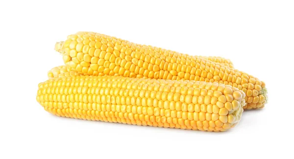 Érett Nyers Kukorica Kukorica Izolált Fehér — Stock Fotó