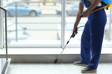 Böcek ilaçlama işçisi pencere kenarına böcek ilacı sıkıyor, yakın plan.