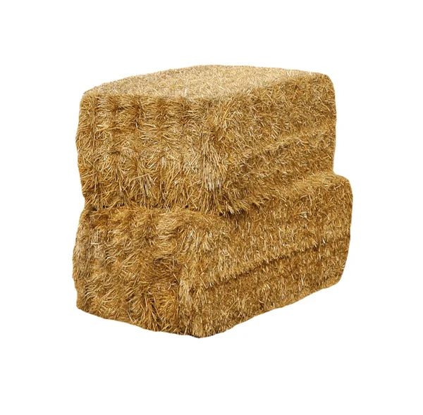 Kurutulmuş saman balyaları beyazın üzerinde. Tarım endüstrisi