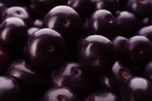 Bacche Acai Mature Fresche Come Sfondo Primo Piano — Foto Stock