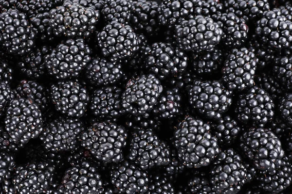 Lekkere Rijpe Bramen Als Achtergrond Bovenaanzicht — Stockfoto