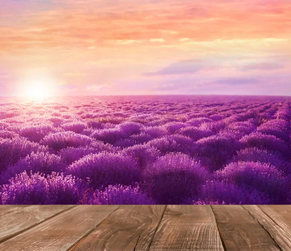 Empty Wooden Surface Lavender Field Sunset — Stock Photo, Image