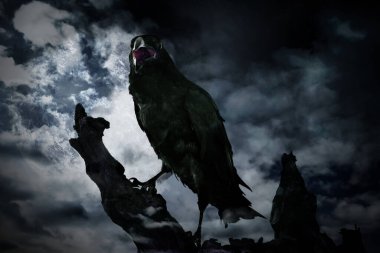 Creepy black crow croaking on old tree at night clipart