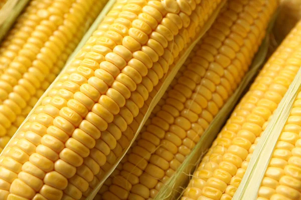 Tasty Sweet Corn Cobs Background Closeup — Stock Photo, Image