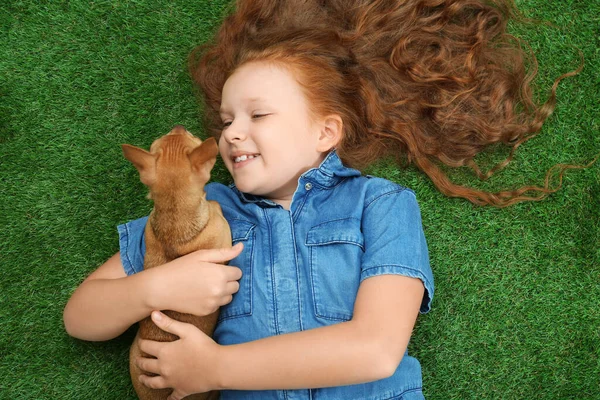 Petite Fille Avec Son Chien Chihuahua Couché Sur Herbe Vue — Photo