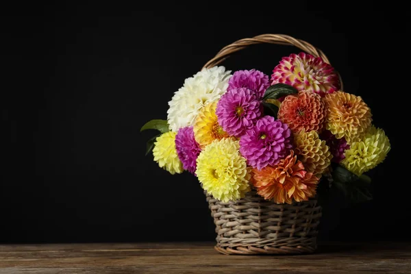 Kosár Gyönyörű Dália Virágok Asztalra Fekete Háttér Szöveg Helye — Stock Fotó