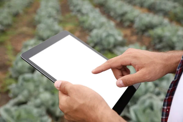 Man using tablet with blank screen in field, closeup. Agriculture technology