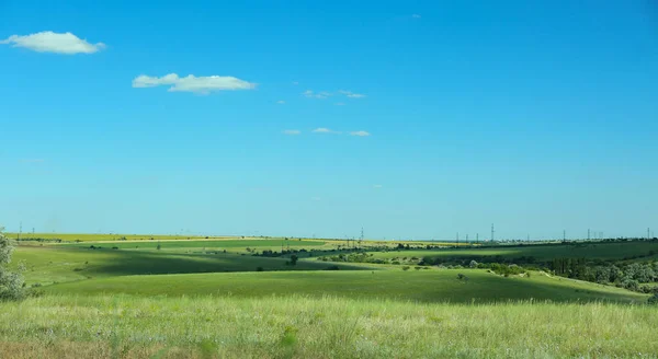 Hermoso Paisaje Con Hierba Verde Día Soleado — Foto de Stock